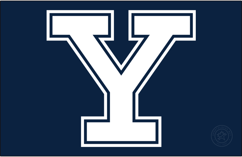 Yale Bulldogs 2019-Pres Primary Dark Logo DIY iron on transfer (heat transfer)